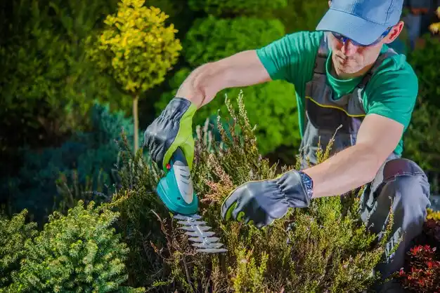 landscaping services Winnfield